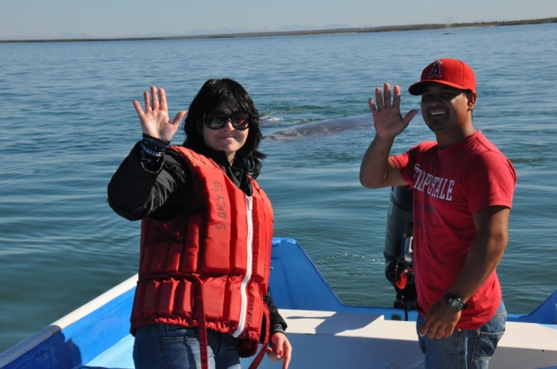 Баха Калифорния . Февраль 2014 г