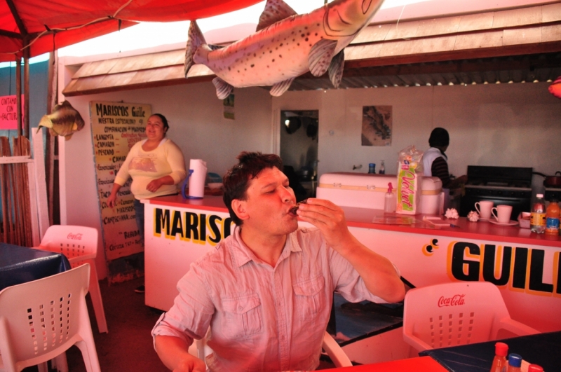 Баха Калифорния . Февраль 2014 г