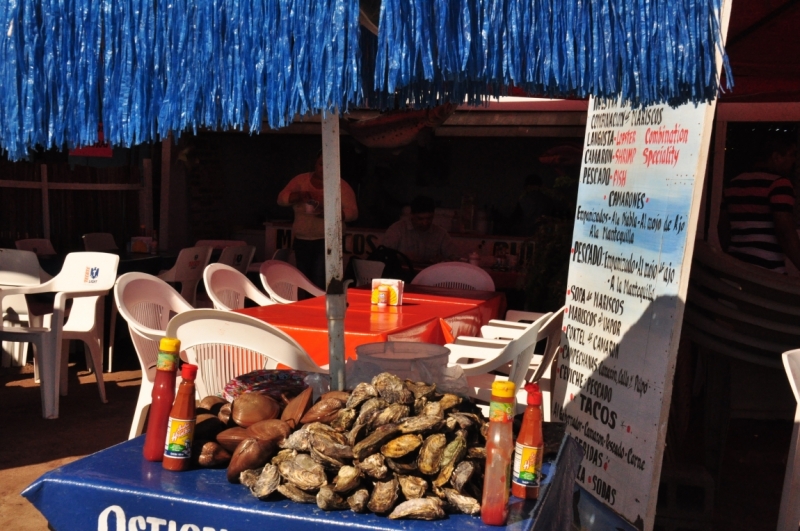 Баха Калифорния . Февраль 2014 г