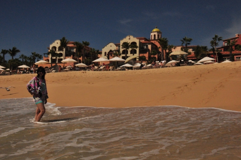 Баха Калифорния . Февраль 2014 г