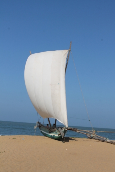 Sri Lanka + Maldives за 15 дней...и даже успели пожениться)))
