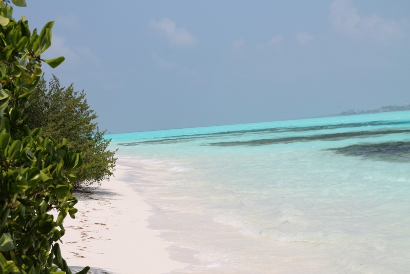 Sri Lanka + Maldives за 15 дней...и даже успели пожениться)))