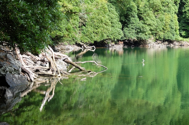 Азорские острова. Сан-Мигель.