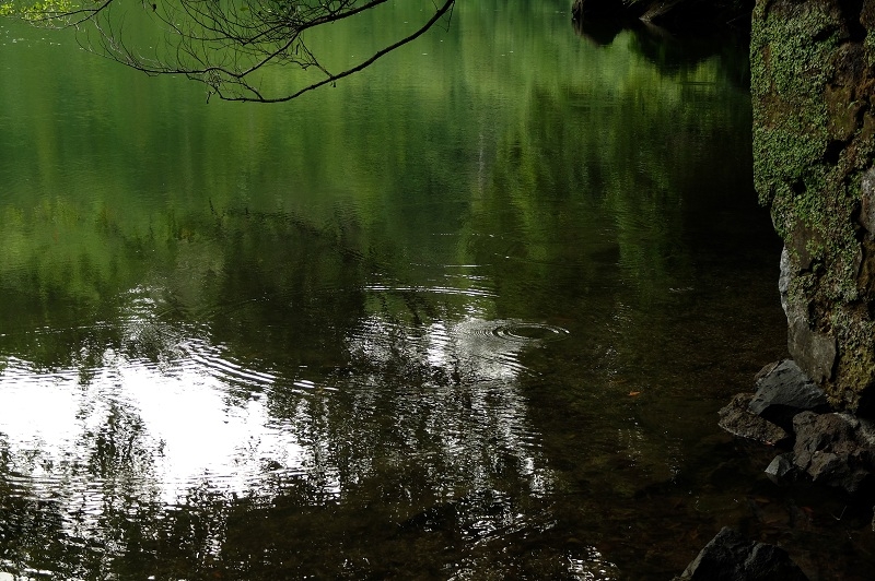 Азорские острова. Сан-Мигель.