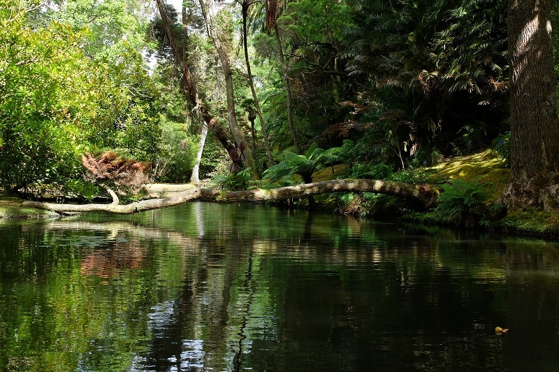Азорские острова. Сан-Мигель.