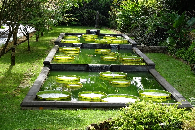 Азорские острова. Сан-Мигель.