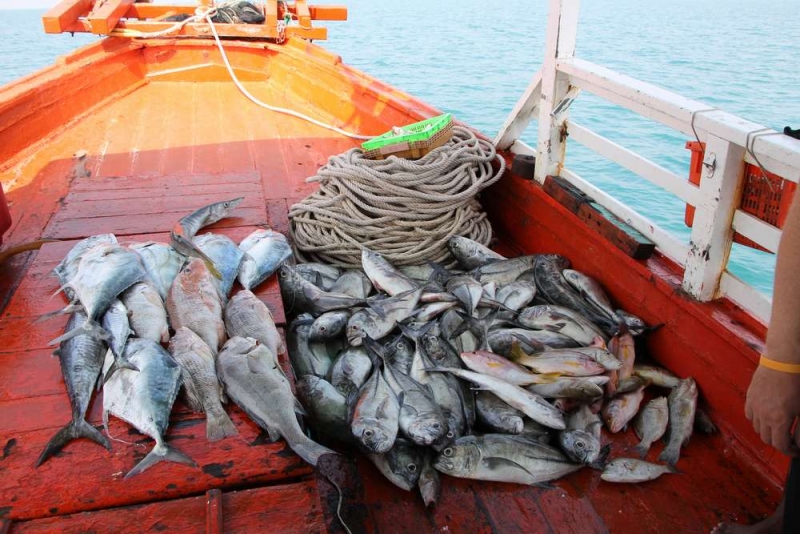 Немного о рыбалке в Паттайе.