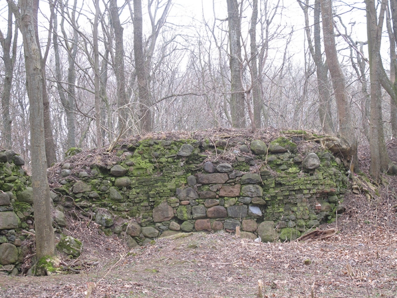 Калининградская область,  замок Бальга