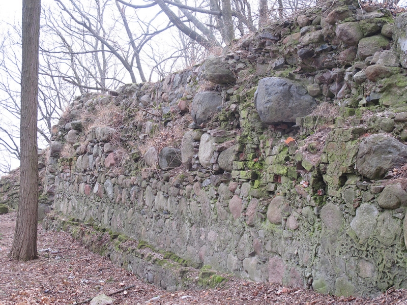 Калининградская область,  замок Бальга