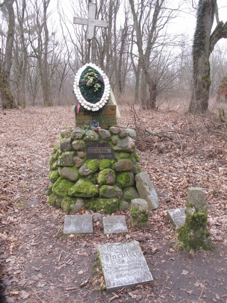 Калининградская область,  замок Бальга