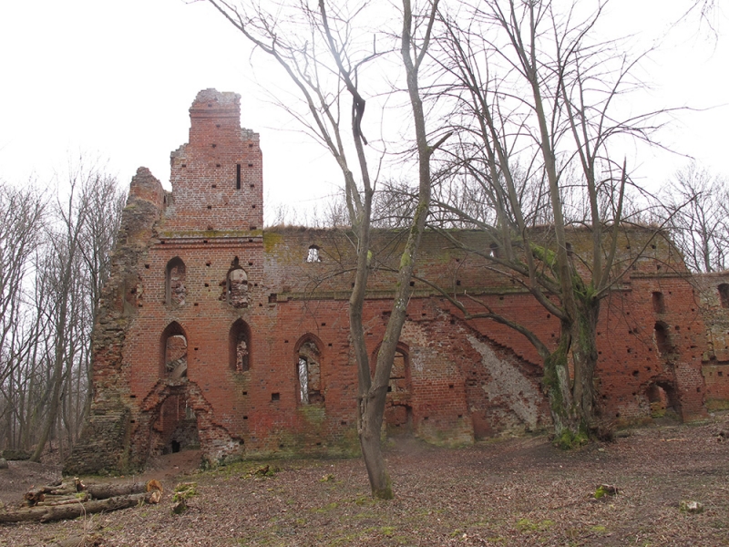 Калининградская область,  замок Бальга