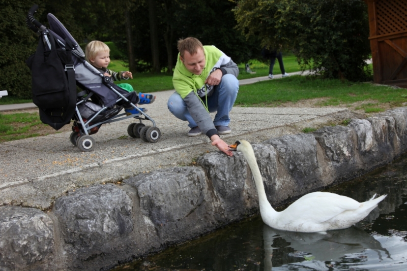 автоТРИП Москва-Белоруссия-Польша-Чехия-Австрия-Словения за 7 дней с 50 т.р. в кармашке