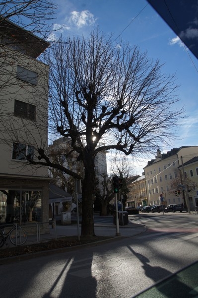 Автопутешествие сахалинцев: Москва-Беларусь-Польша-Чехия-Австрия и обратно.Дек '13-янв '14
