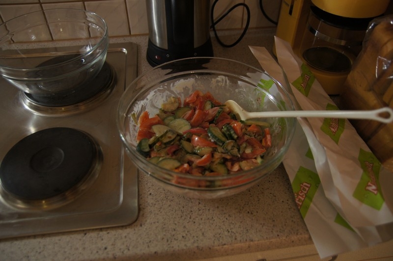 Автопутешествие сахалинцев: Москва-Беларусь-Польша-Чехия-Австрия и обратно.Дек '13-янв '14