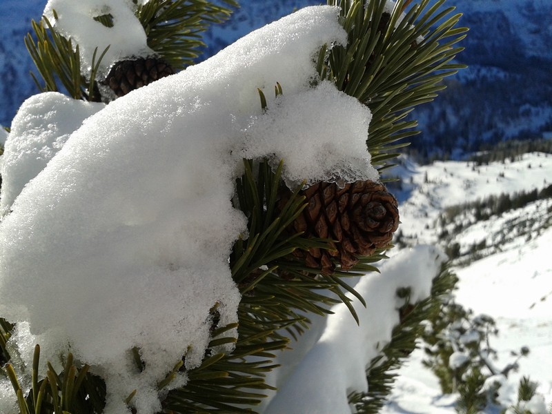 Автопутешествие сахалинцев: Москва-Беларусь-Польша-Чехия-Австрия и обратно.Дек '13-янв '14