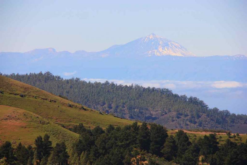 Круиз с TUI на Mein Sсhiff 1: Канары + Мадейра с 23.02.14 по 02.03.14