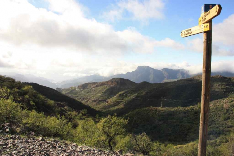 Круиз с TUI на Mein Sсhiff 1: Канары + Мадейра с 23.02.14 по 02.03.14