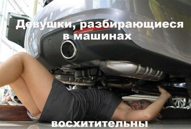 Картинка дня