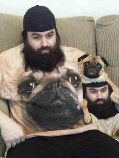 Картинка дня