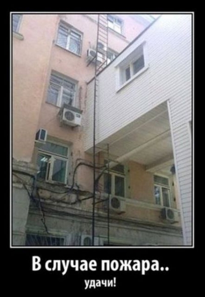 Картинка дня