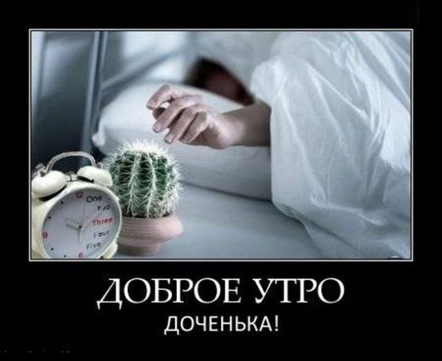 Картинка дня