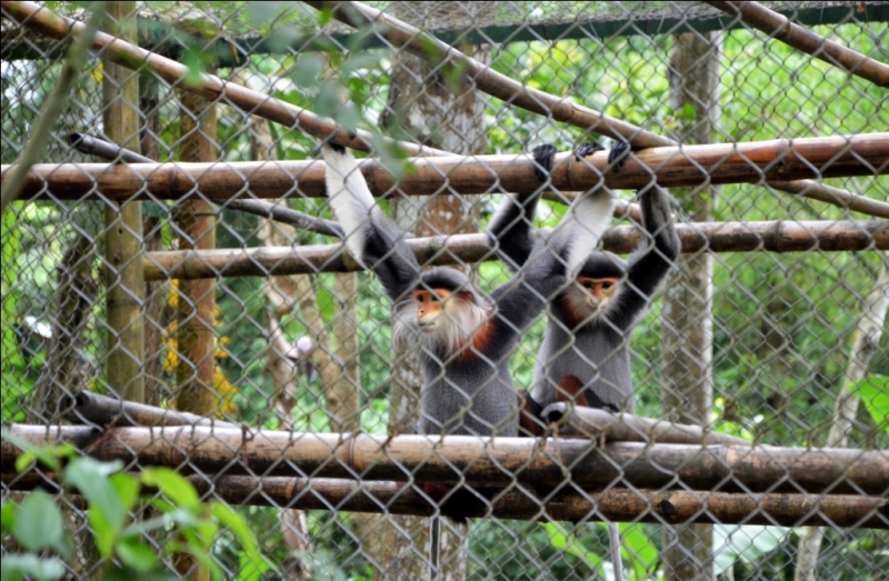 Север и центр Вьетнама в апреле 2013