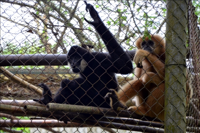 Север и центр Вьетнама в апреле 2013