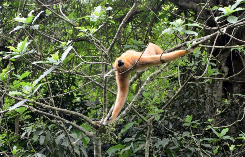 Север и центр Вьетнама в апреле 2013