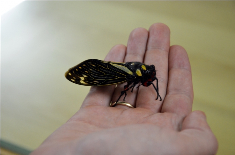 Север и центр Вьетнама в апреле 2013