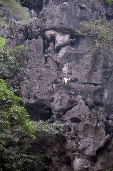 Север и центр Вьетнама в апреле 2013