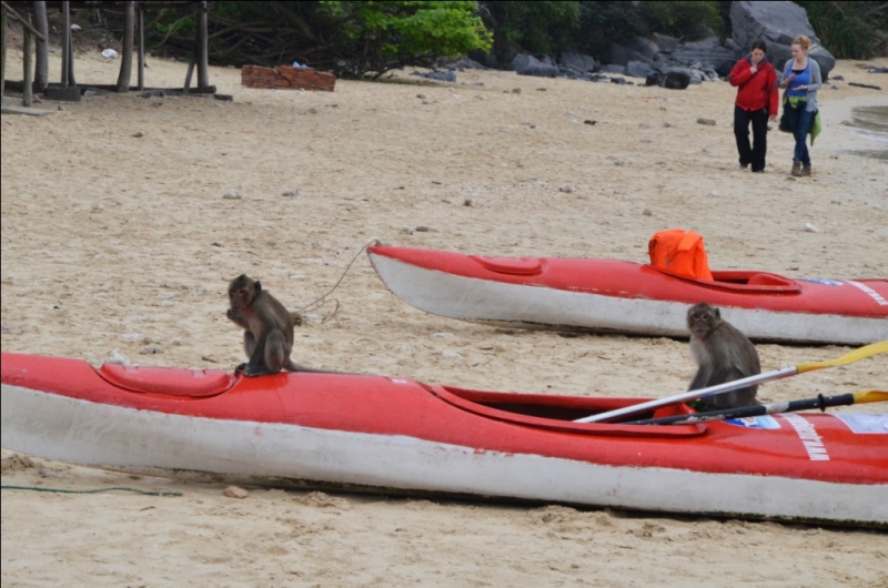 Север и центр Вьетнама в апреле 2013