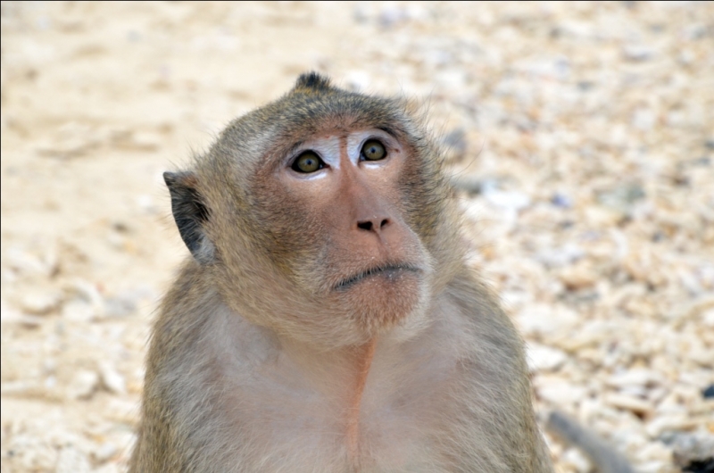 Север и центр Вьетнама в апреле 2013
