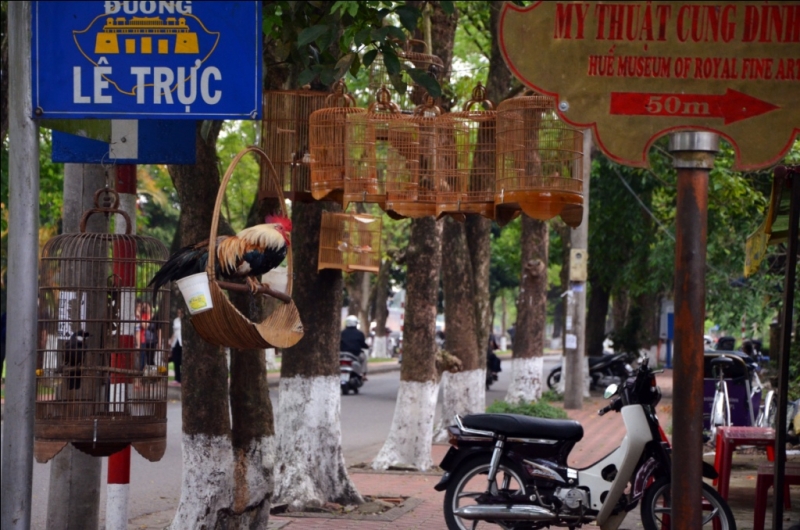 Север и центр Вьетнама в апреле 2013