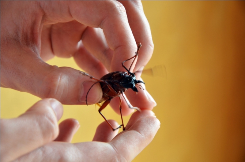 Север и центр Вьетнама в апреле 2013