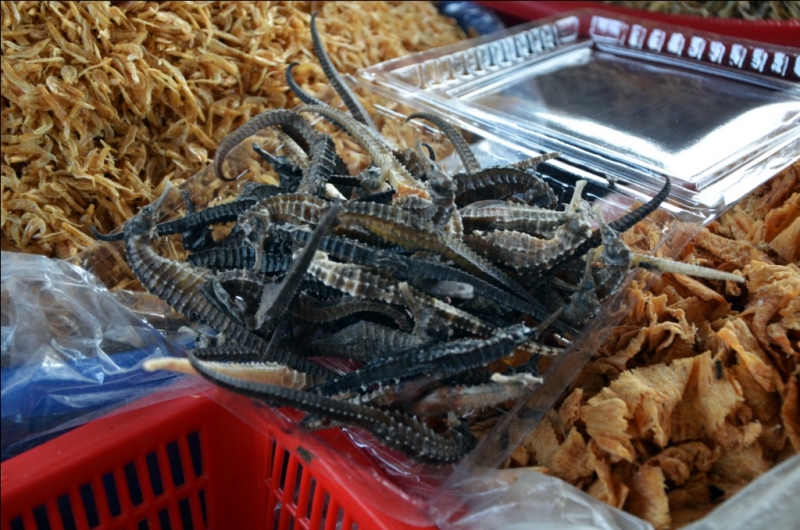 Север и центр Вьетнама в апреле 2013