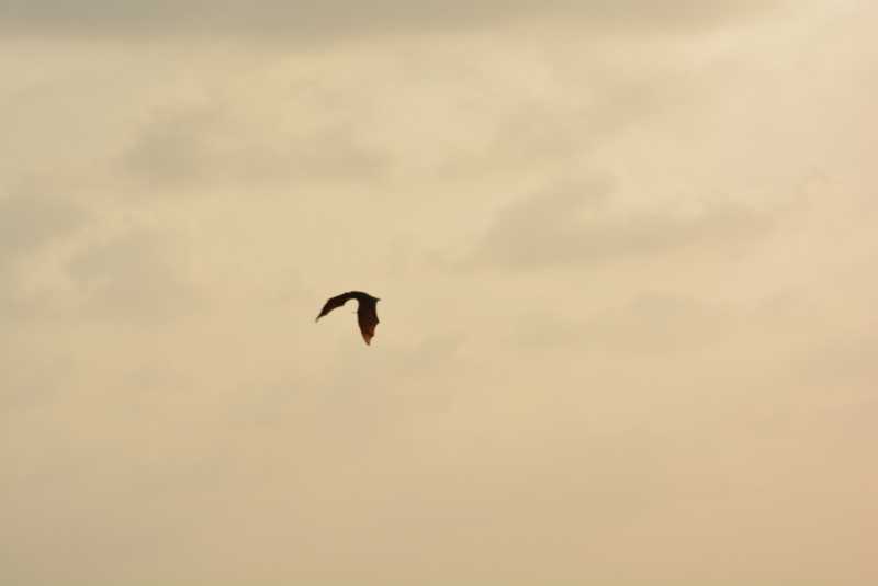 Мальдивы в  2014 году; Dolce farniente в Reehti Beach Resort.