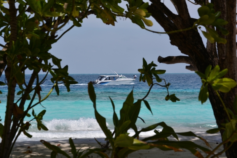 Мальдивы в  2014 году; Dolce farniente в Reehti Beach Resort.