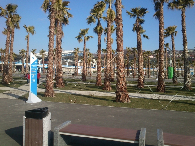 Мне посчастливилось побывать на Олимпийских играх Сочи-2014.