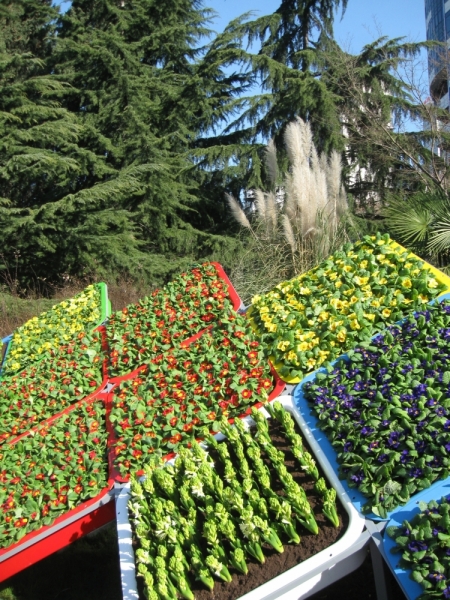 Мне посчастливилось побывать на Олимпийских играх Сочи-2014.