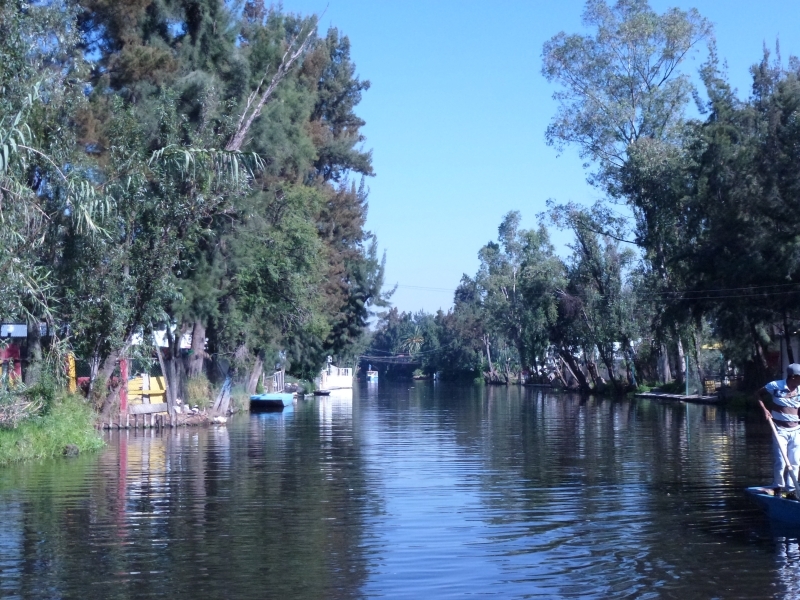 Солнечный круг - текила вокруг, путешествие по центральной Мексике