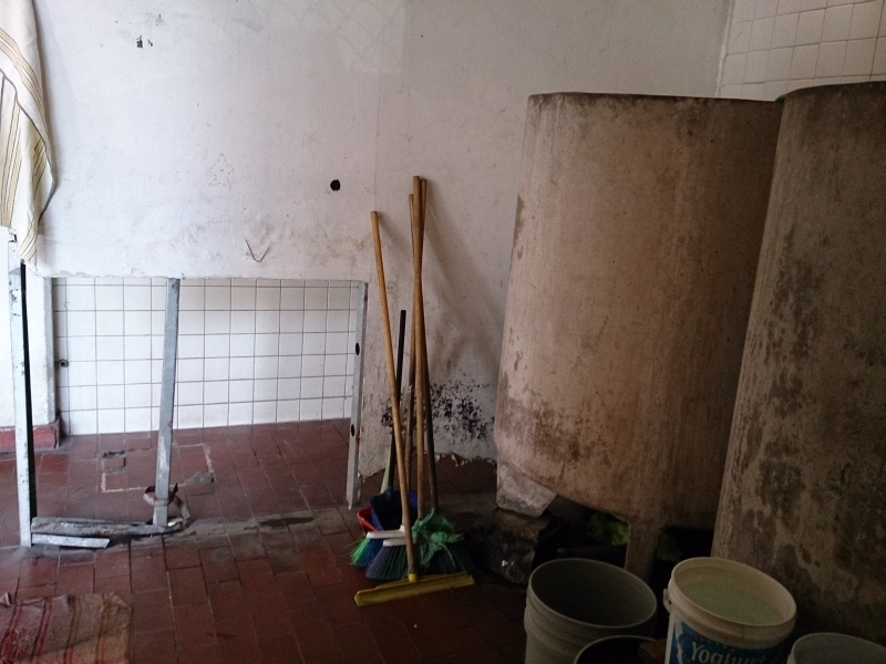 Солнечный круг - текила вокруг, путешествие по центральной Мексике