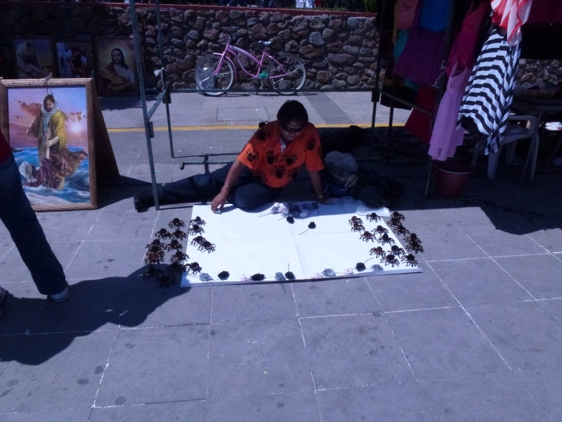 Солнечный круг - текила вокруг, путешествие по центральной Мексике