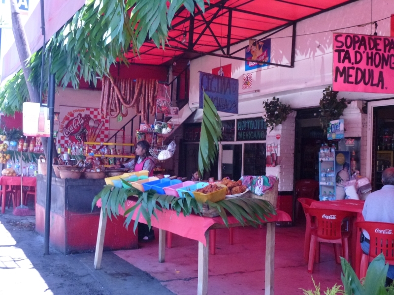 Солнечный круг - текила вокруг, путешествие по центральной Мексике