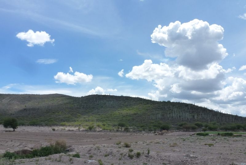 Солнечный круг - текила вокруг, путешествие по центральной Мексике