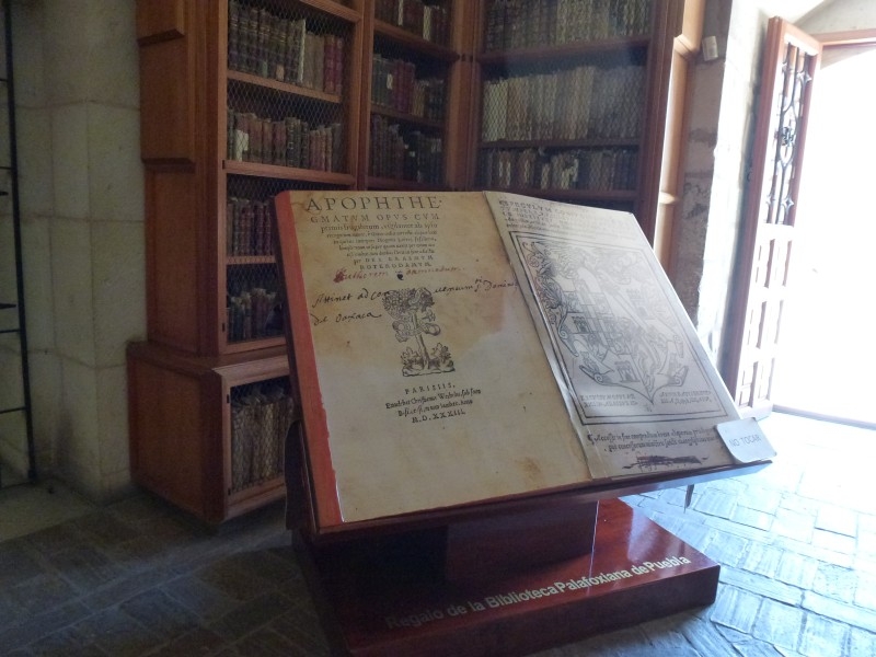 Солнечный круг - текила вокруг, путешествие по центральной Мексике