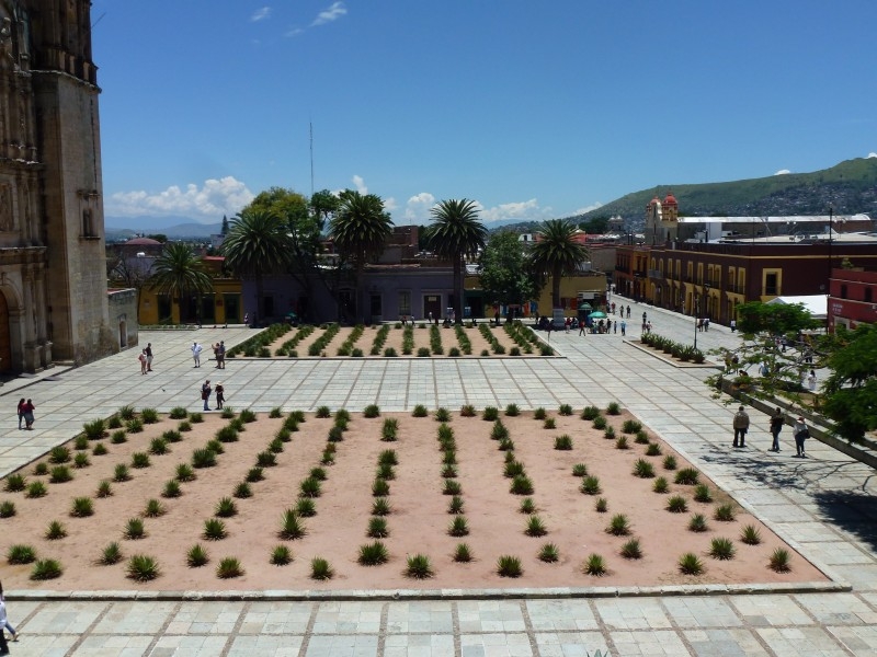 Солнечный круг - текила вокруг, путешествие по центральной Мексике