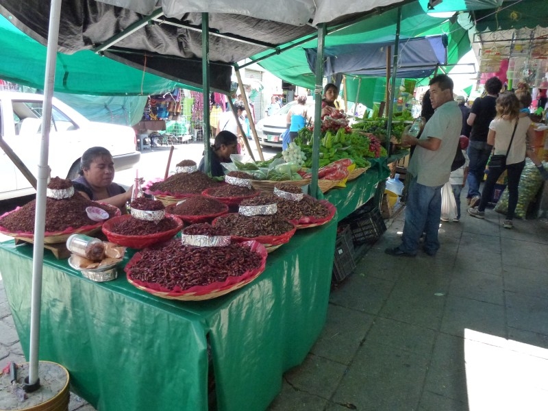 Солнечный круг - текила вокруг, путешествие по центральной Мексике