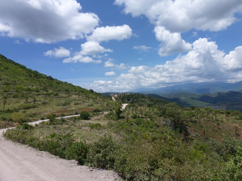 Солнечный круг - текила вокруг, путешествие по центральной Мексике