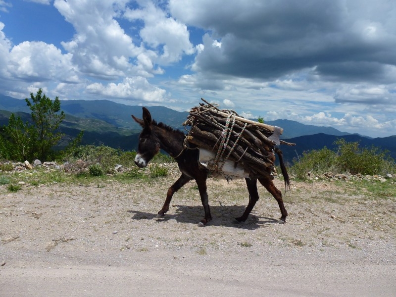 Солнечный круг - текила вокруг, путешествие по центральной Мексике