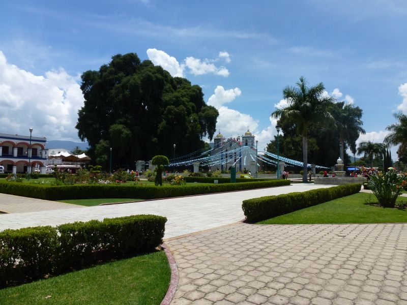 Солнечный круг - текила вокруг, путешествие по центральной Мексике